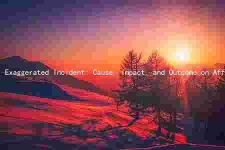 Exaggerated Incident: Cause, Impact, and Outcome on Affected Parties