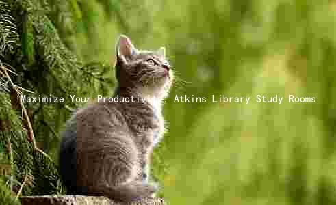 Maximize Your Productivity: Atkins Library Study Rooms