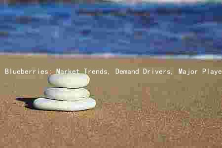Blueberries: Market Trends, Demand Drivers, Major Players, Challenges, and Investment Opportunities